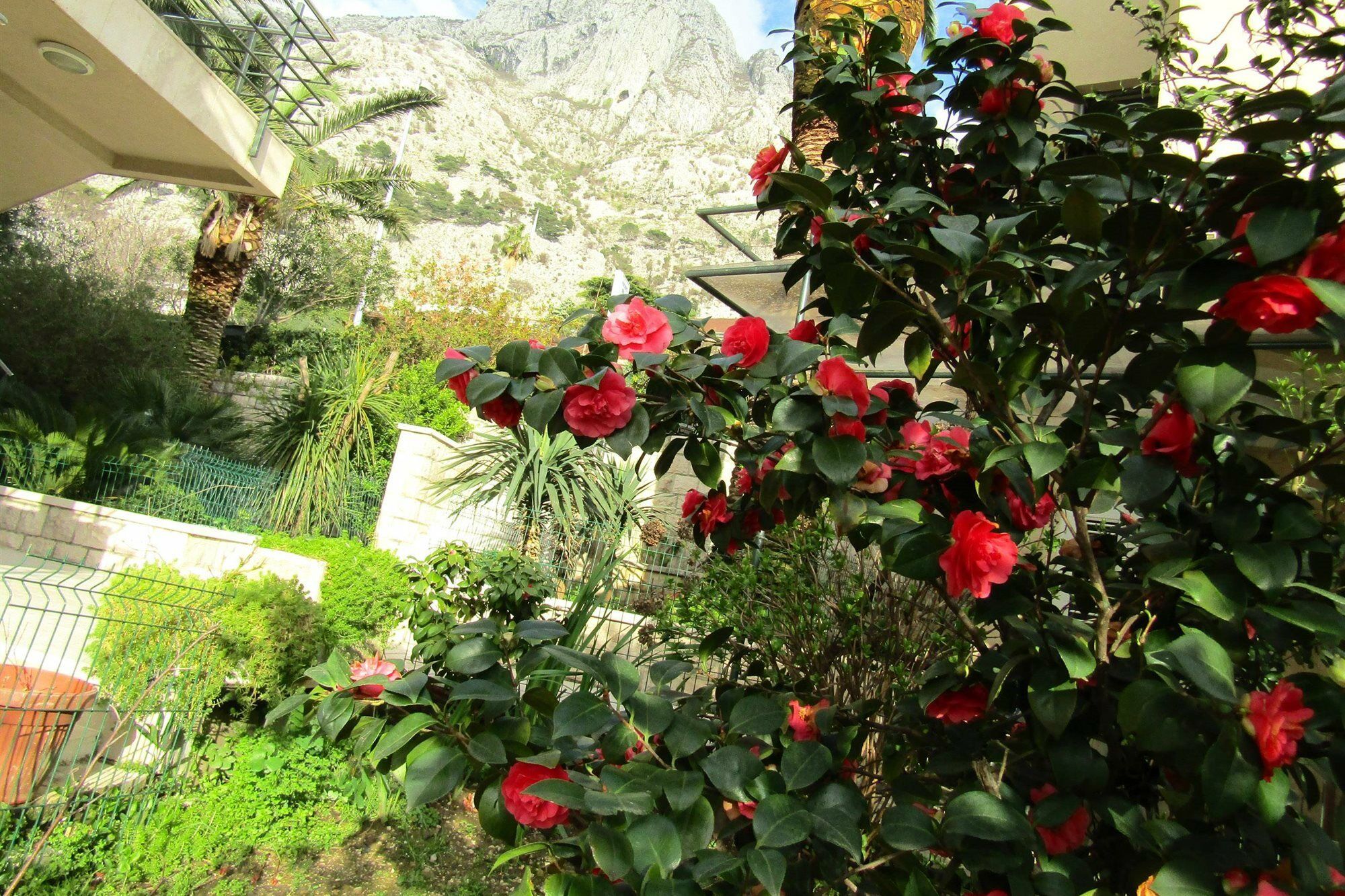 Palma Apartments Kotor Luaran gambar